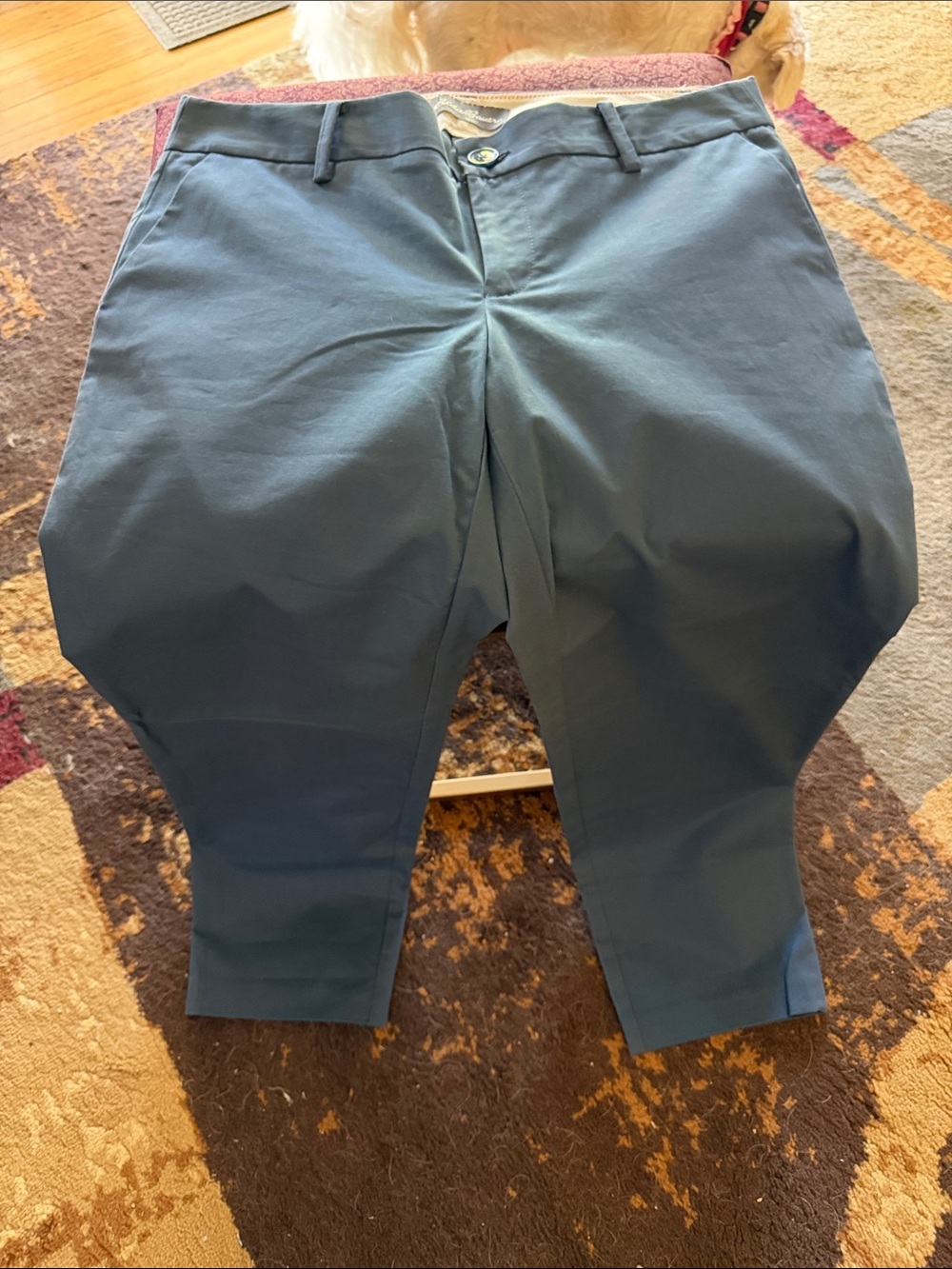 Eddie Bauer Women's Slate Blue Stretch Trousers